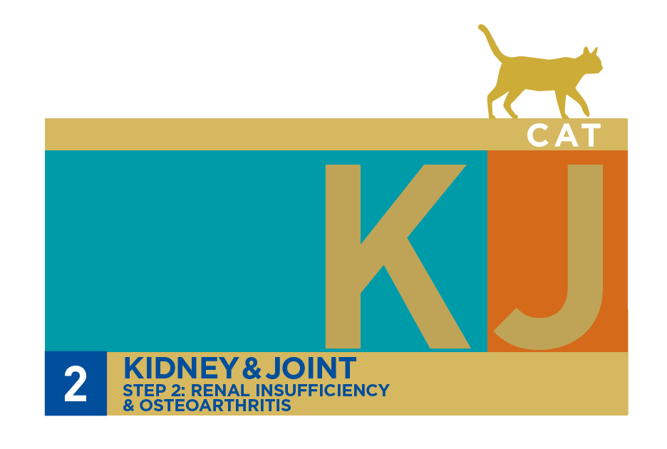 Kidney & Joint (KJ2)